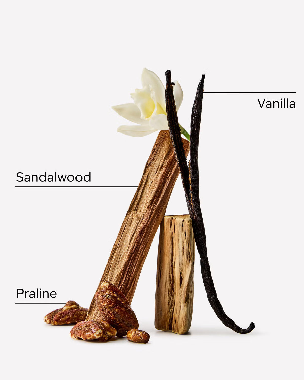 PREORDEN -Vanilla Silk Replenishing Body Wash - 2 A 4 SEMANAS EN LLEGAR