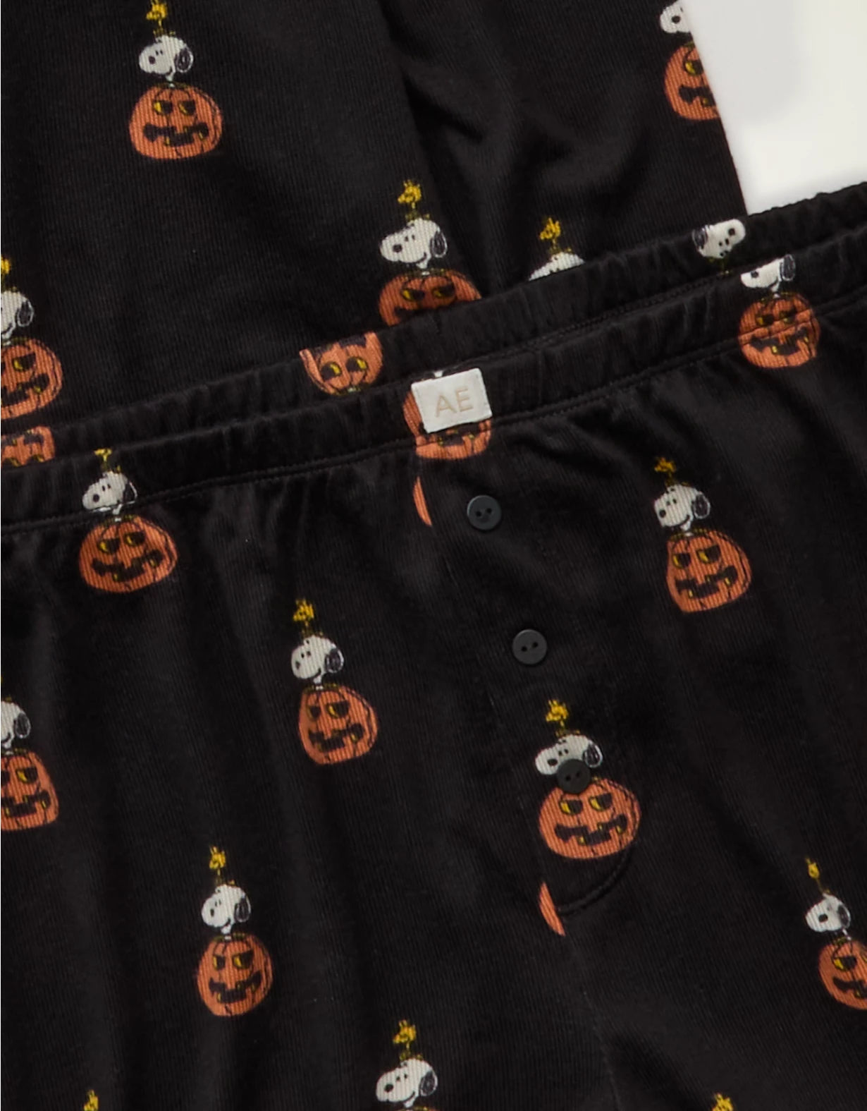 PREORDEN - AE Luxe Plush Long Sleeve + Short PJ Set- 2 A 4 SEMANAS EN LLEGAR