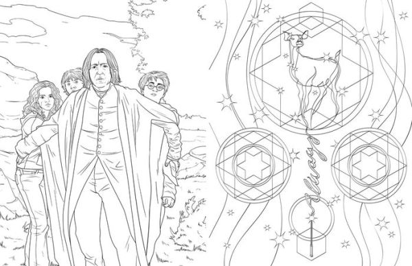 PRE-ORDEN- Harry Potter: Slytherin House Pride: The Official Coloring Book TARDA DE 2 A 5 SEMANAS EN LLEGAR