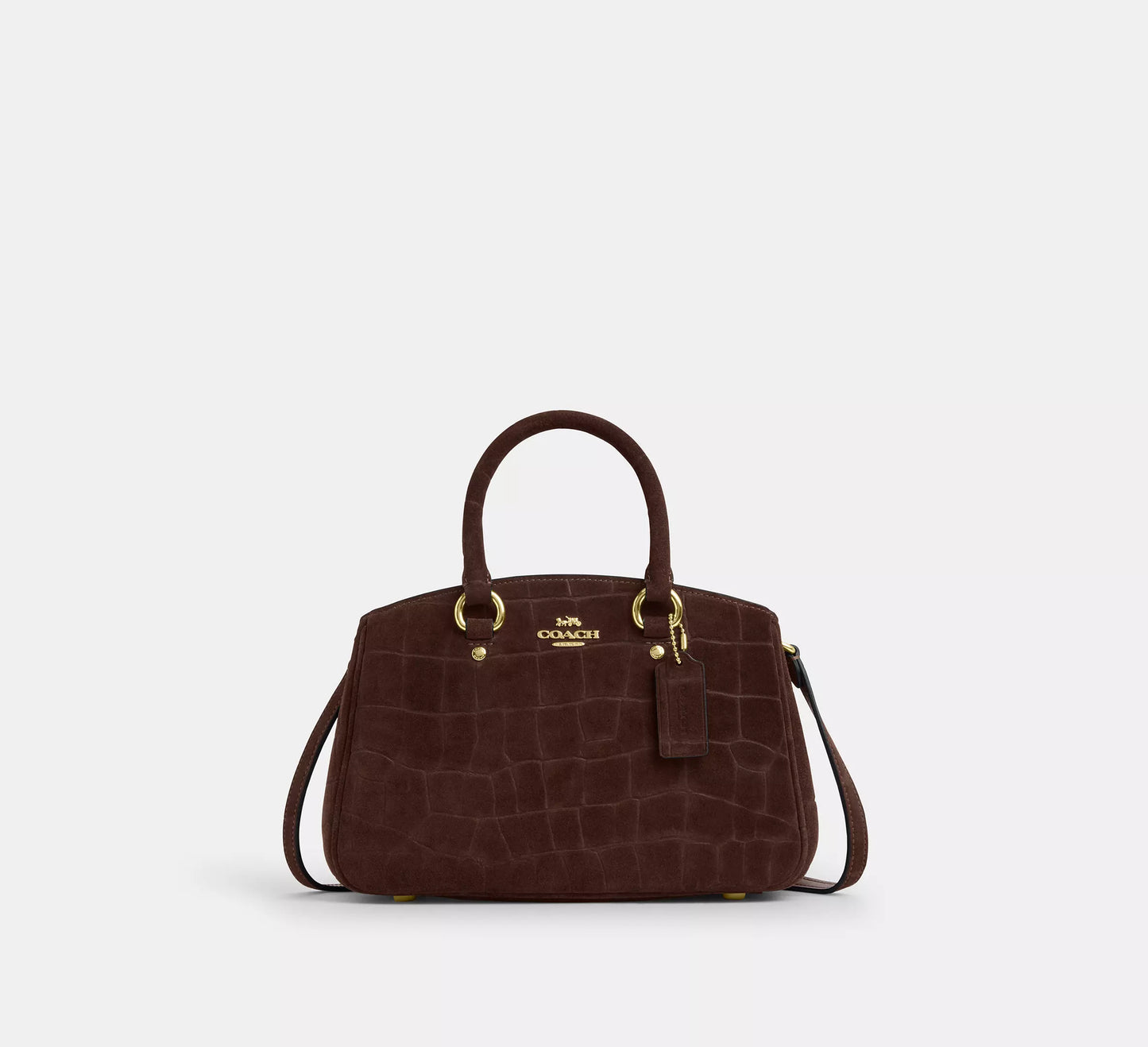 PREORDEN -Savannah Small Carryall Bag | COACH - 2 A 4 SEMANAS EN LLEGAR