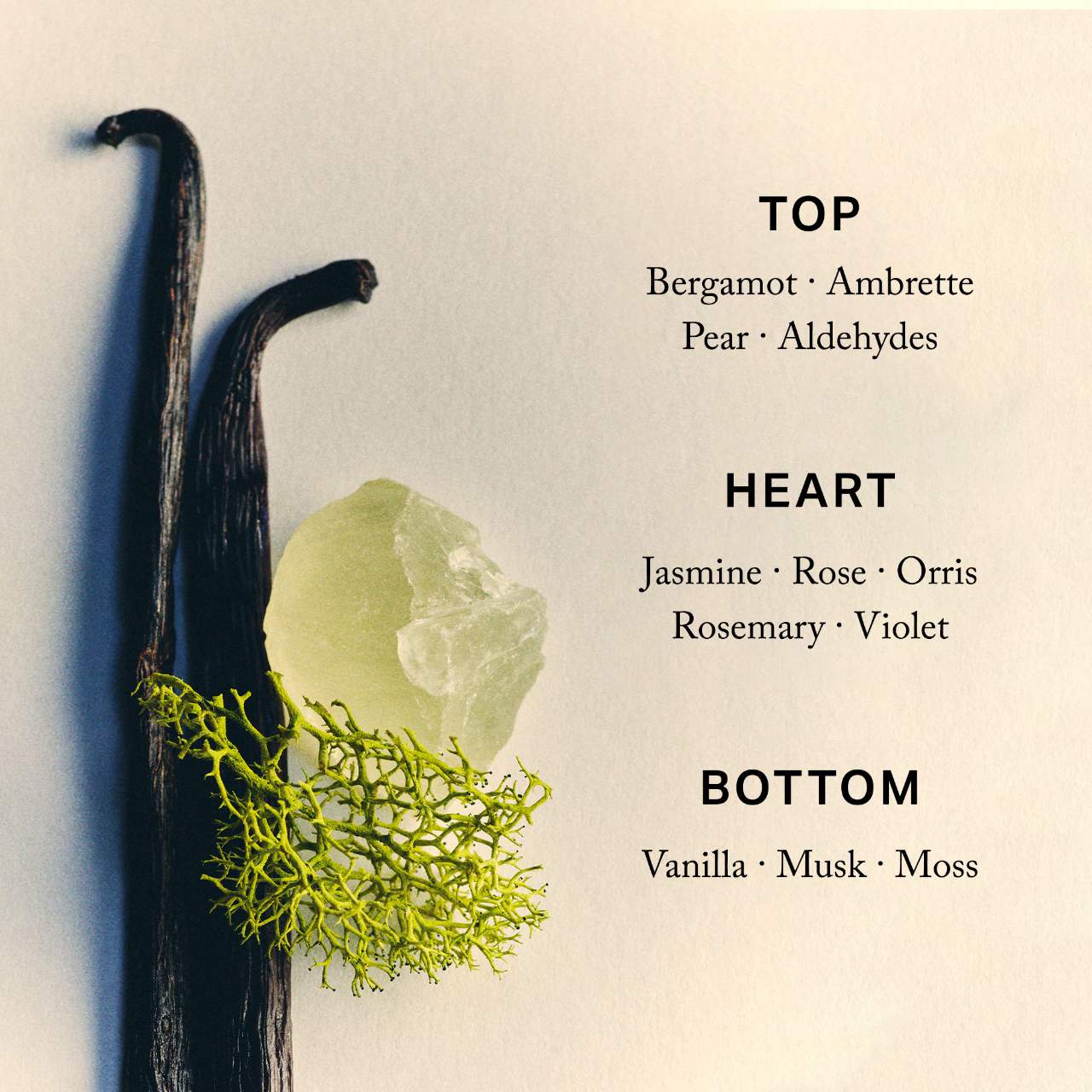 PREORDEN -Retrospect™ L’Extrait de Parfum | MERIT - 2 A 4 SEMANAS EN LLEGAR