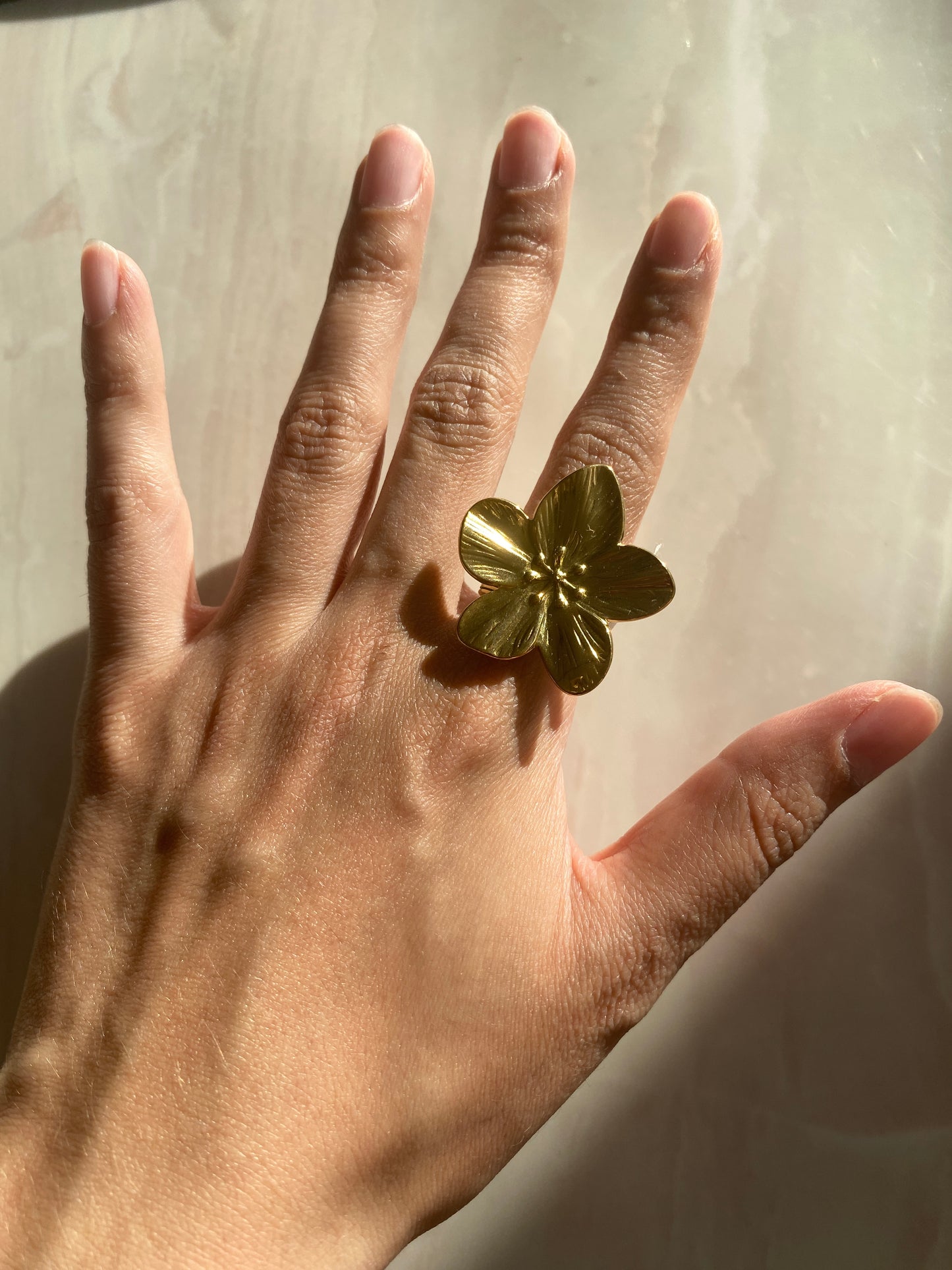 ANILLO ACERO INOXIDABLE AJUSTABLE