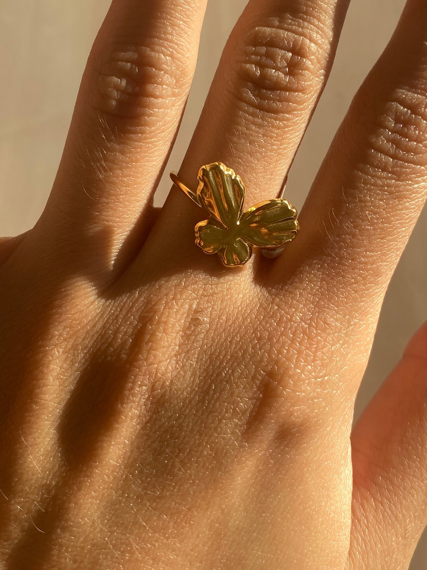 ANILLO ACERO INOXIDABLE AJUSTABLE