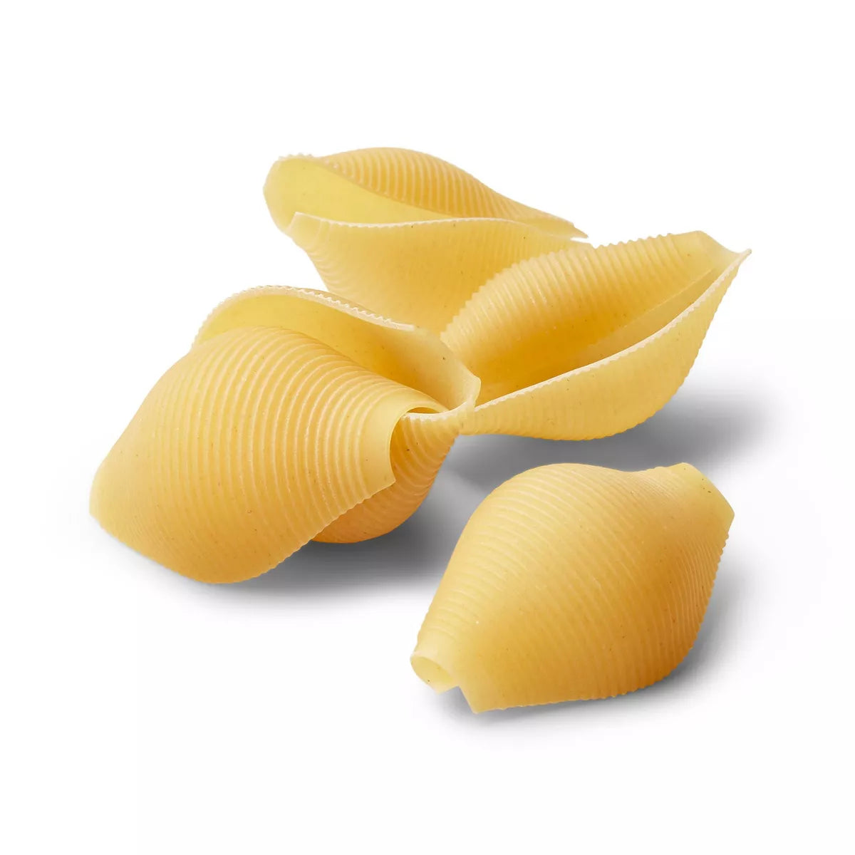 Jumbo Shells - 12oz - Good & Gather™