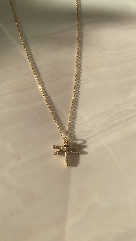 COLLAR DE ACERO INOXIDABLE