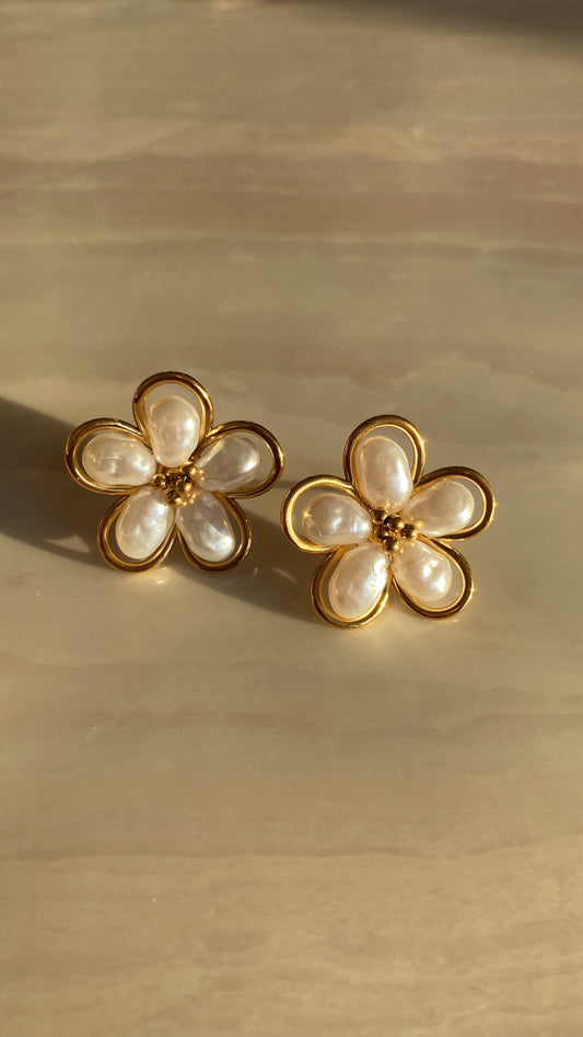 ARETES DE ACERO INOXIDABLE